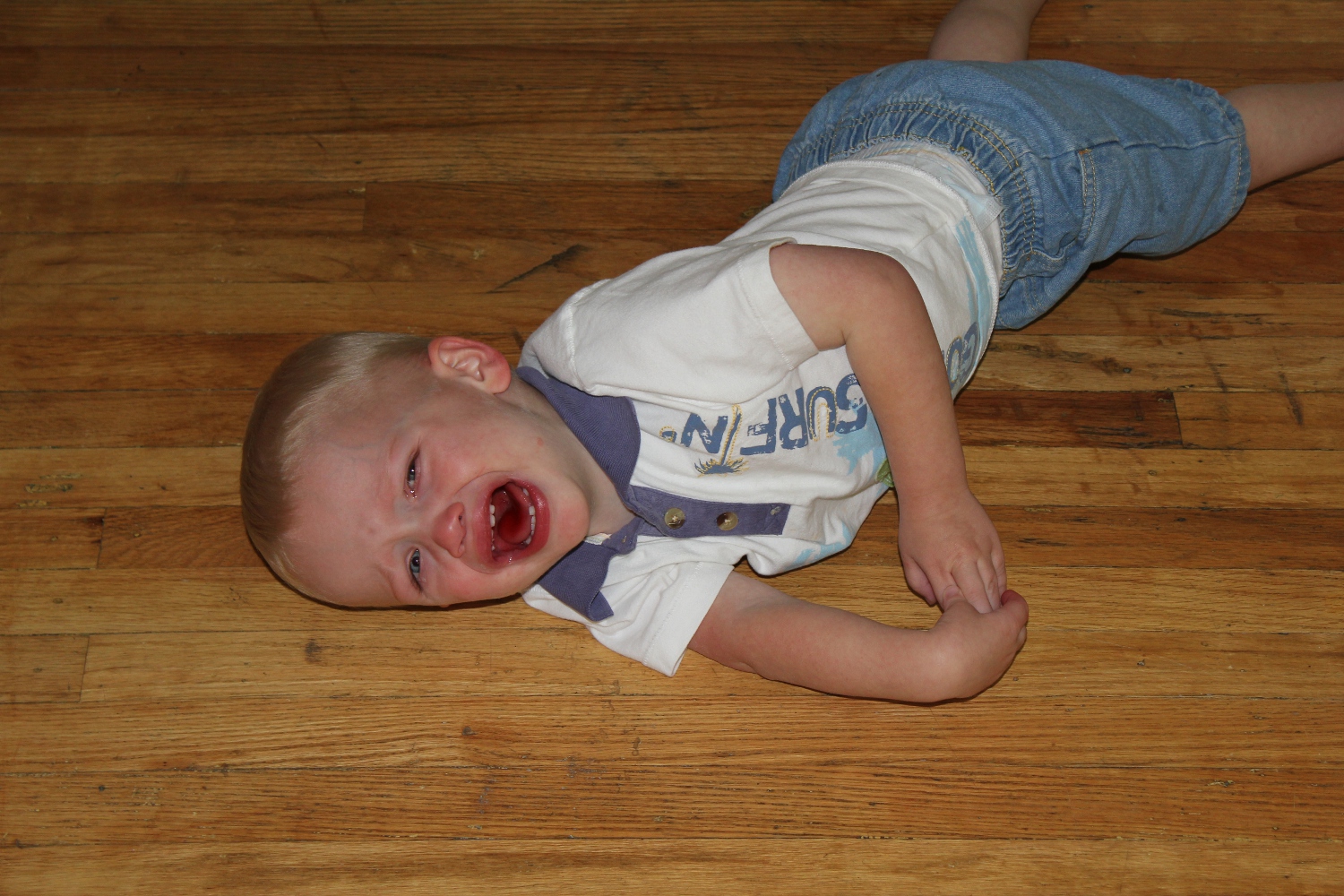 Throw A Tantrum Meaning at Mae Block blog