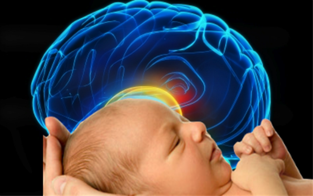 Baby Brain The Early Childhood Academy